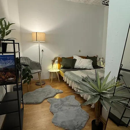 Apartman Perfekt Fuer Familien Oder Freunde Nahe Der Kirche